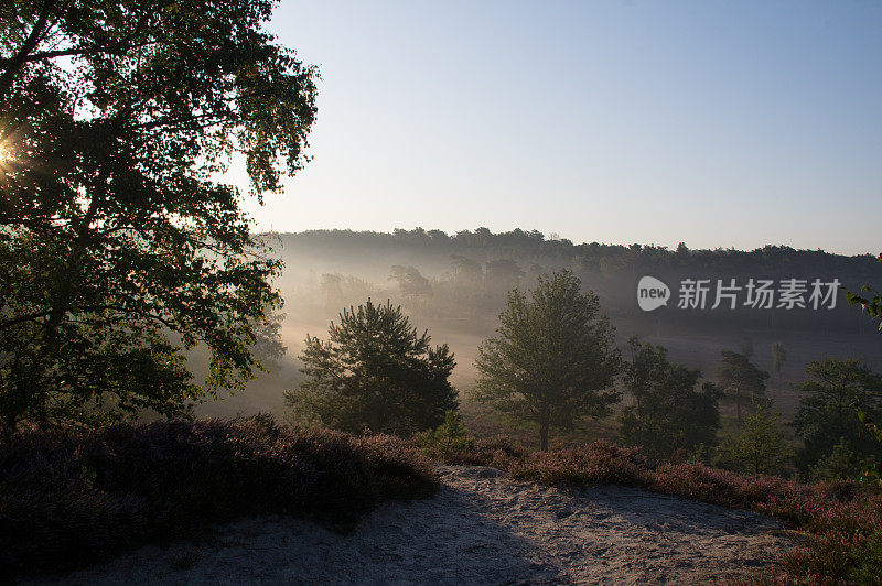 雾希思场景