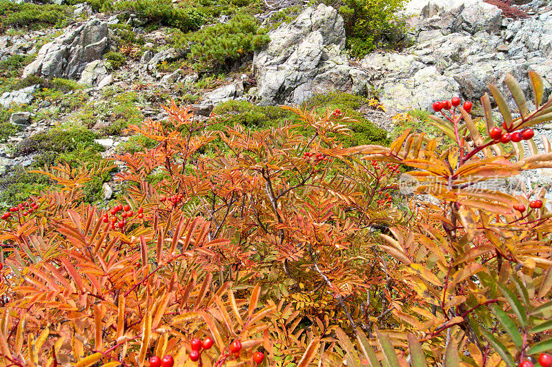 南阿尔卑斯山,日本山梨县县