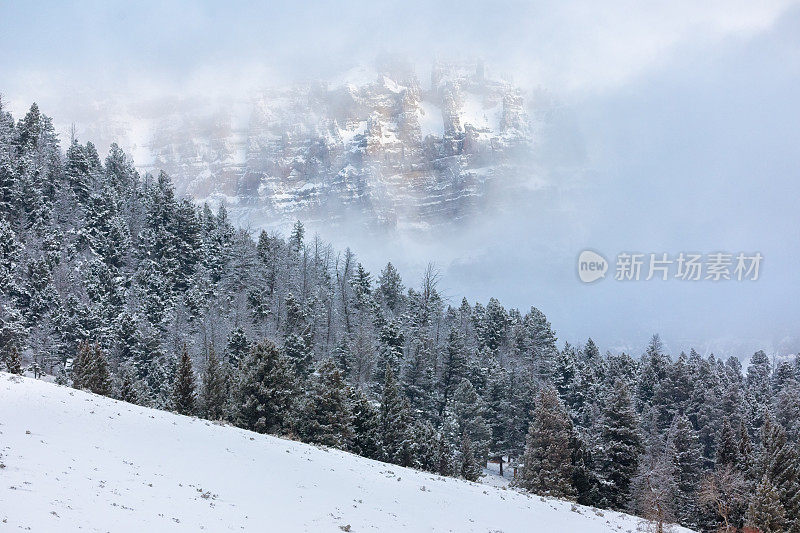 白雪覆盖的山从迷雾森林浮现