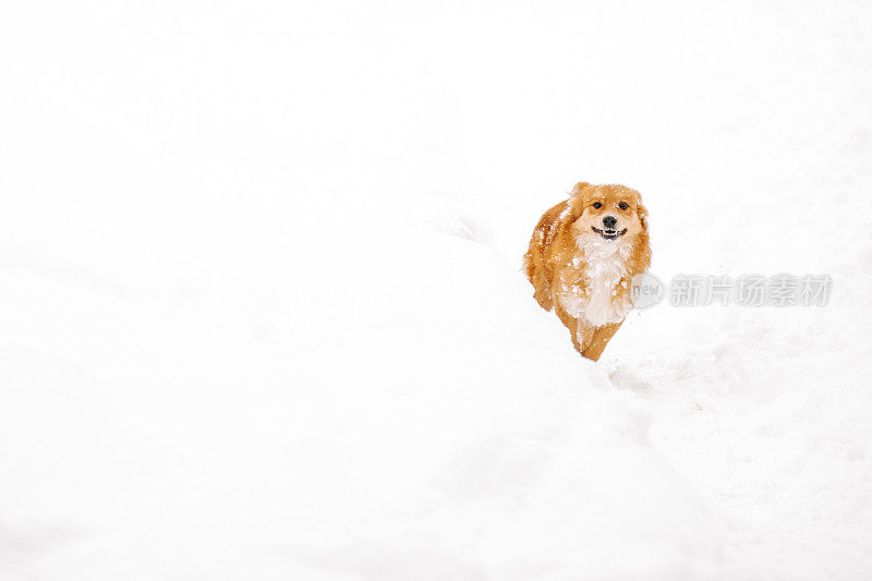 我喜欢在雪地里跑步