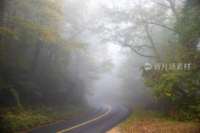 浓雾笼罩，绿树成荫的弯曲山路-蓝岭公园路