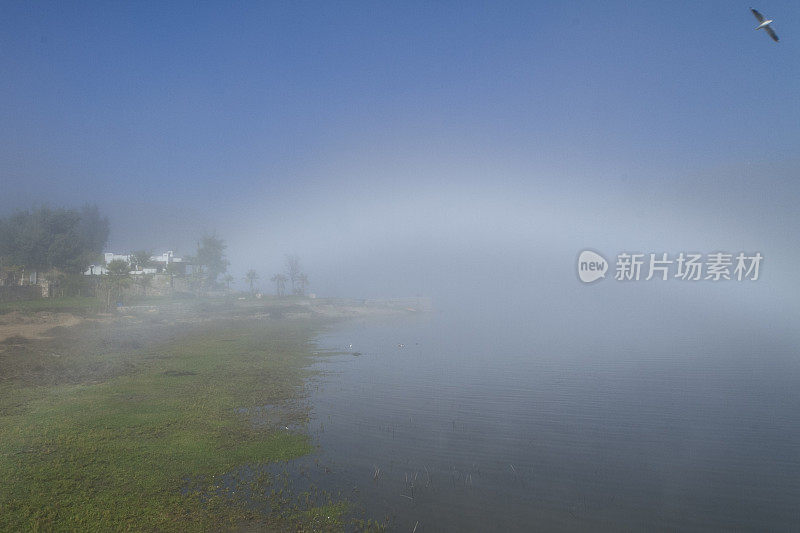 美丽的巴塔哥尼亚风景安第斯山脉与高山与发光的山峰，石头在山湖，反射，蓝天和雾在日出。