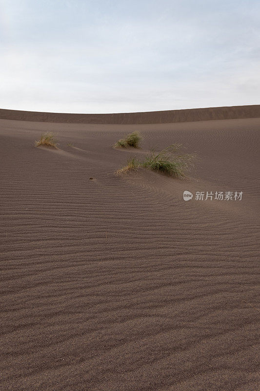 在伊朗沙漠