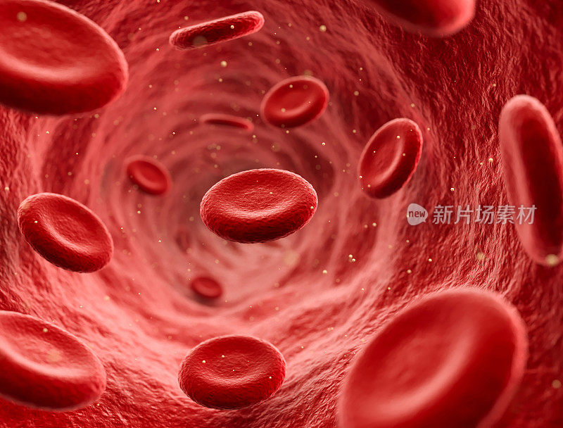 红细胞在血液中流动