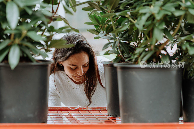 女人买植物