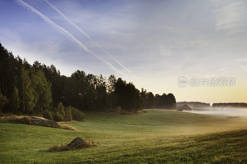 夏日清晨的田野和薄雾笼罩着美丽的瑞典风景