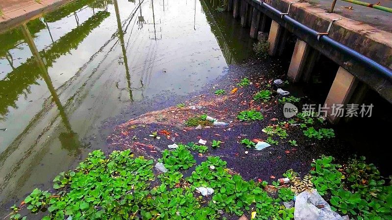 一个江城的水被污染了