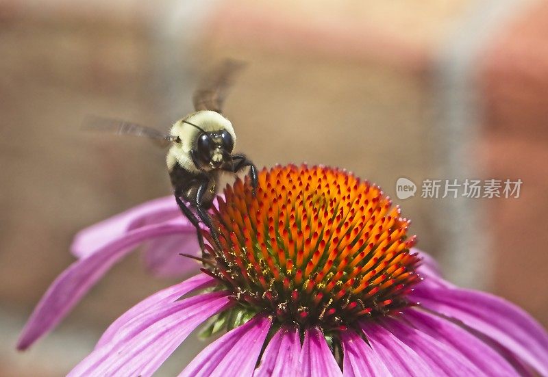 在飞行中