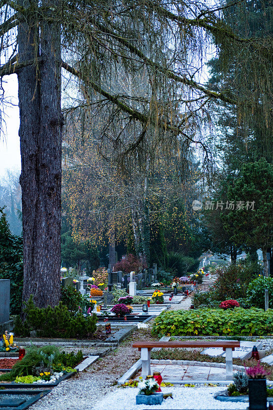 秋天的早晨，空旷的墓地。