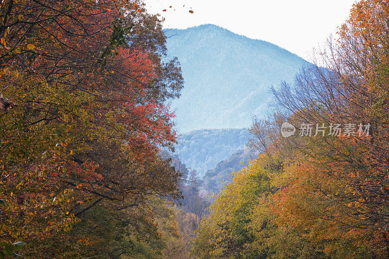 田纳西州的秋天