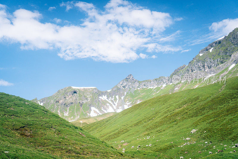 郁郁葱葱的草地和群山