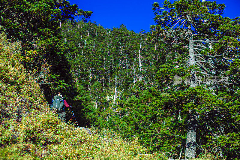 女徒步旅行者在玉山漫步