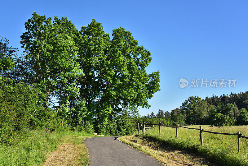 单行道路上