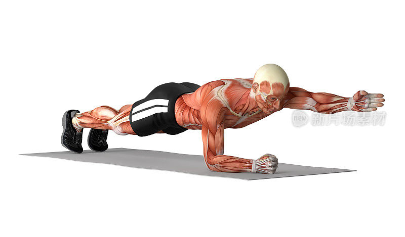 一个健康的人，做肘部平板支撑和手臂伸展运动的3D插图