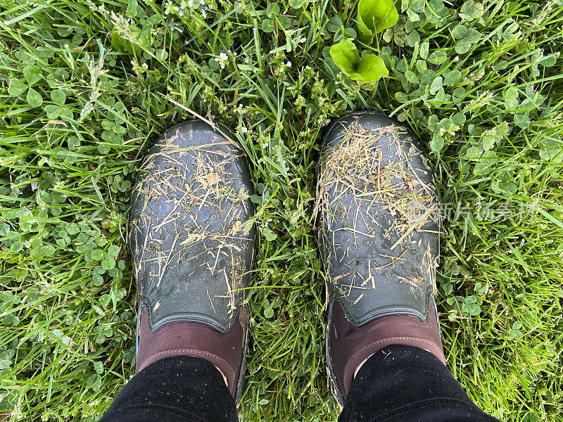 工作鞋脚自拍在草地上