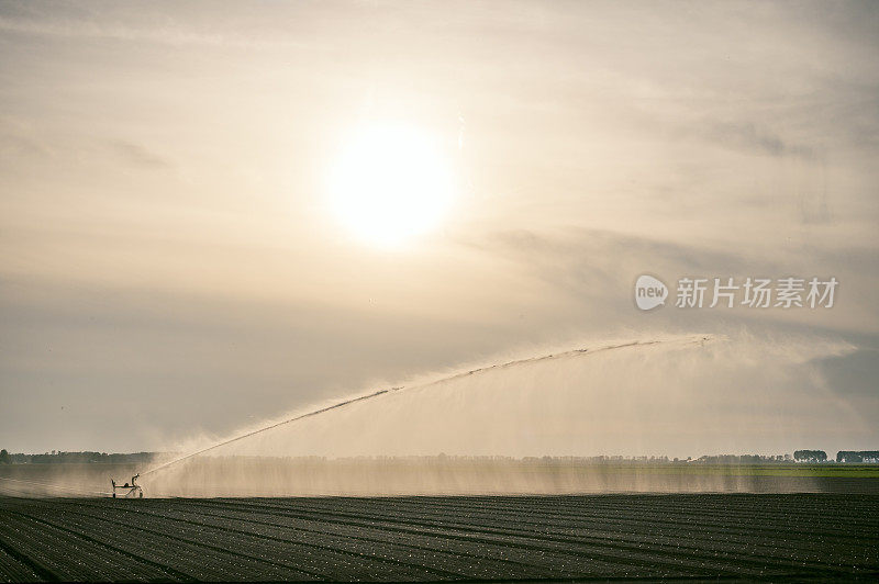 在干燥温暖的春日，喷灌机在田间喷水。