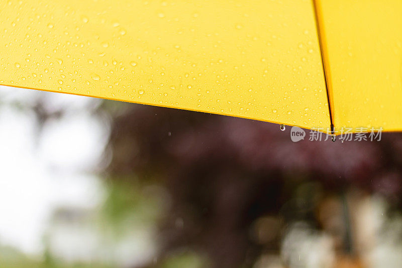 雨滴从伞-美国中西部在春天天气和季节照片系列