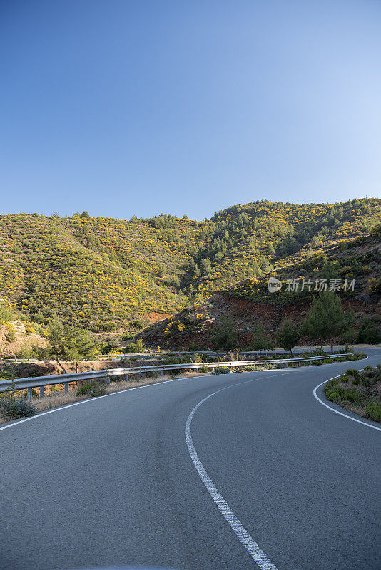 道路环抱着蜿蜒的山坡，穿过崎岖的火山地形，黄色的花朵覆盖着，傍晚的阳光洒在树木繁茂的山坡上