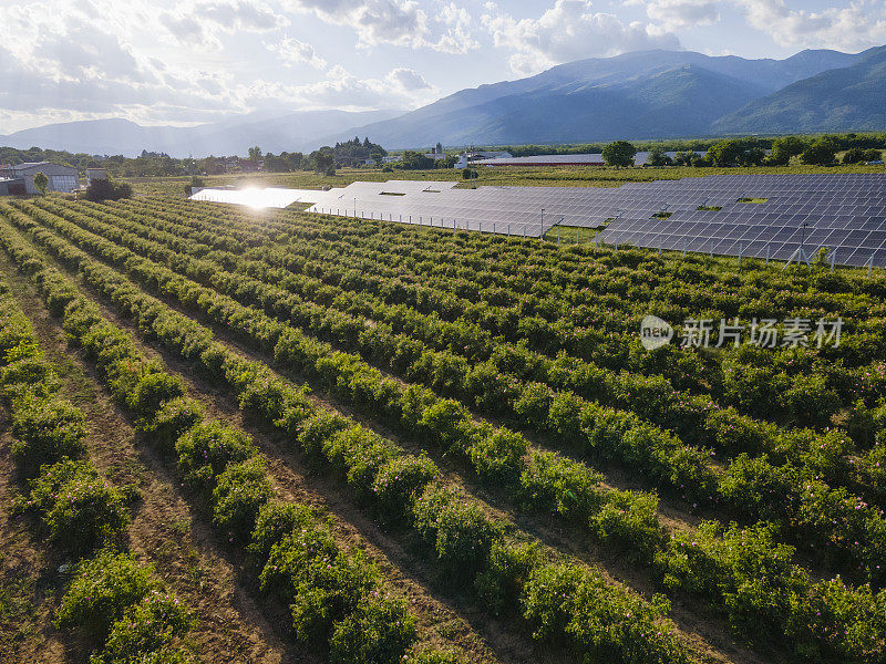 太阳能电池板和农田，鸟瞰图。碳中和和可再生能源工厂。