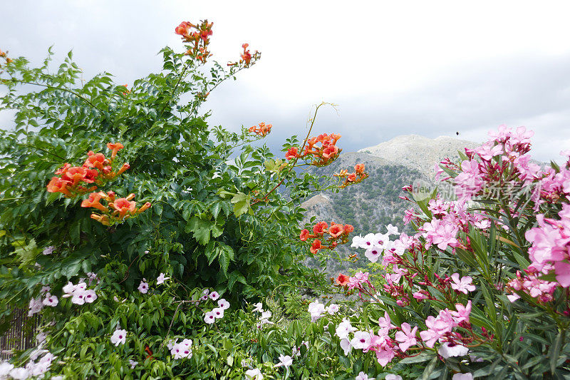 Kourtaliotiko山谷，克里特岛，希腊