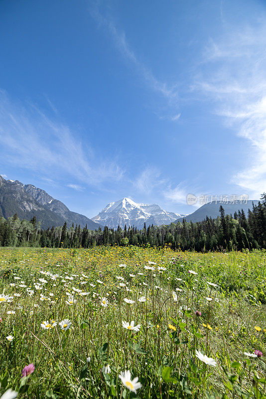 加拿大不列颠哥伦比亚省，夏天的罗布森山峰顶