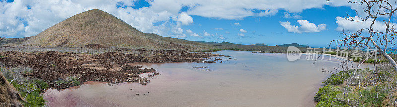 佛罗里亚纳岛蓬塔鸬鹚的白沙滩也被称为面粉沙滩;查尔斯岛;加拉帕戈斯群岛;厄瓜多尔。加拉帕戈斯群岛国家公园。