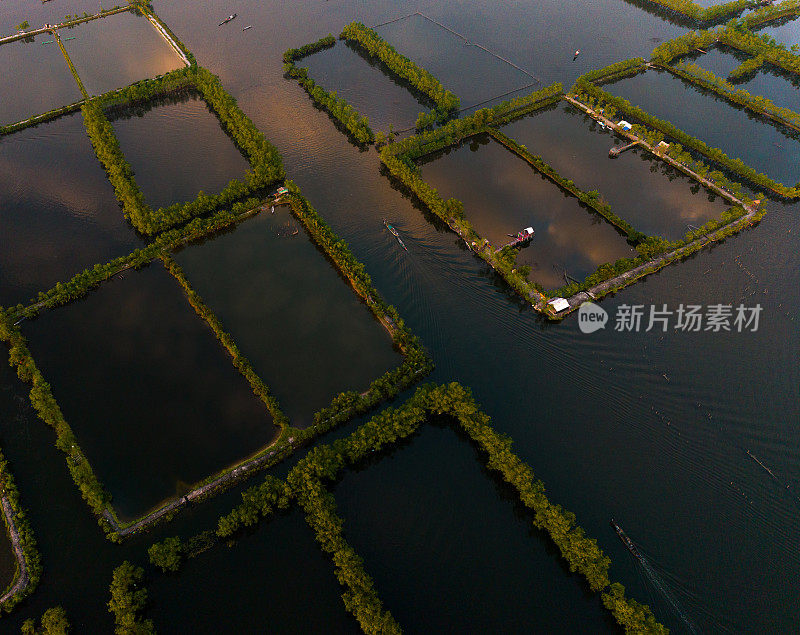 航拍照片显示，顺化省谭江泻湖上有大量的养虾池塘