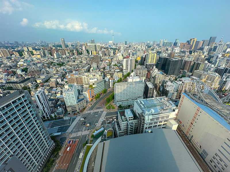 东京天空树和屋顶观看东京天际线的城市景观