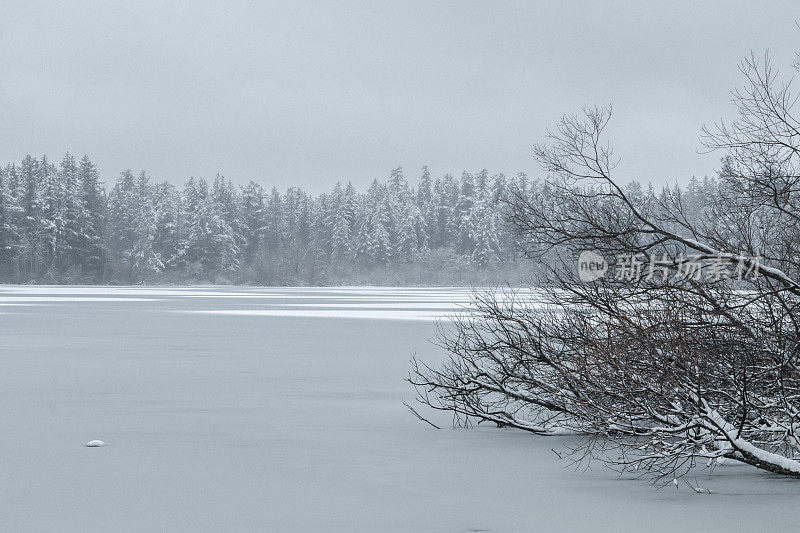 海狸湖地区公园的雪景