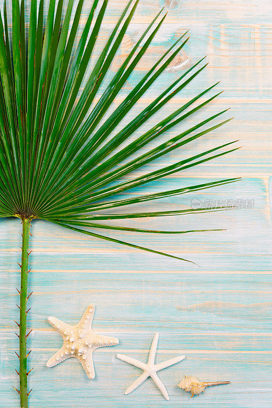 夏季概念与垂直组成的棕榈叶，两只海星和海螺在绿松石条纹木背景