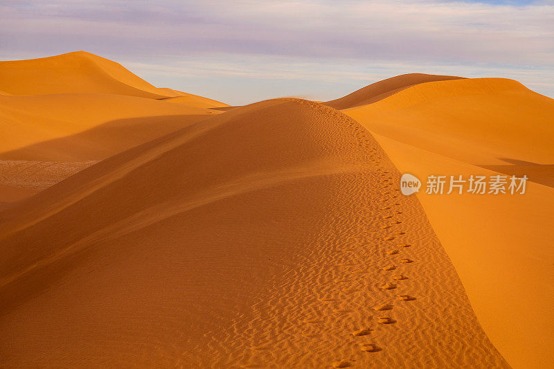 美丽的沙丘靠近米哈米德，扎戈拉，摩洛哥，北非