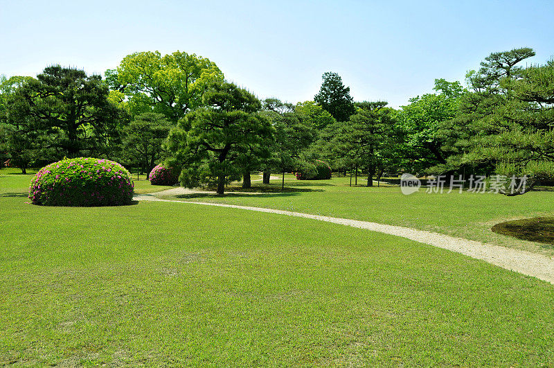 草坪上