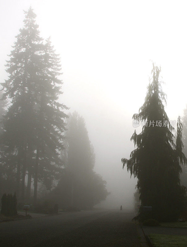 雾中漫步