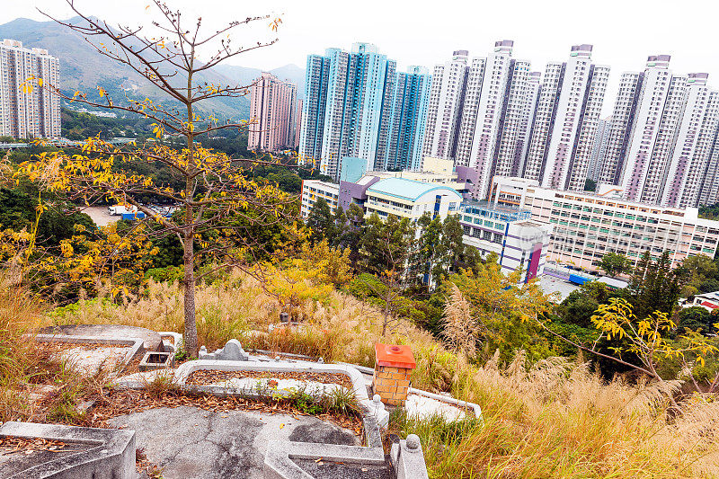 沙田，古坟，树木，摩天大楼，山，香港，中国