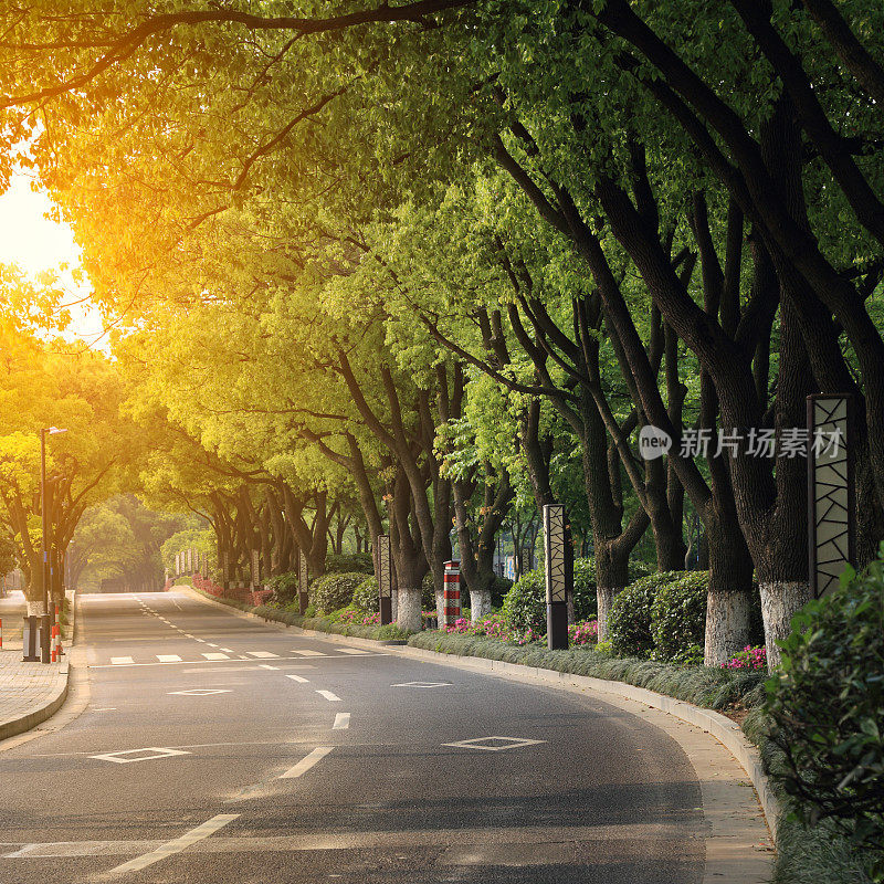 通往中国远郊的弯弯曲曲的道路