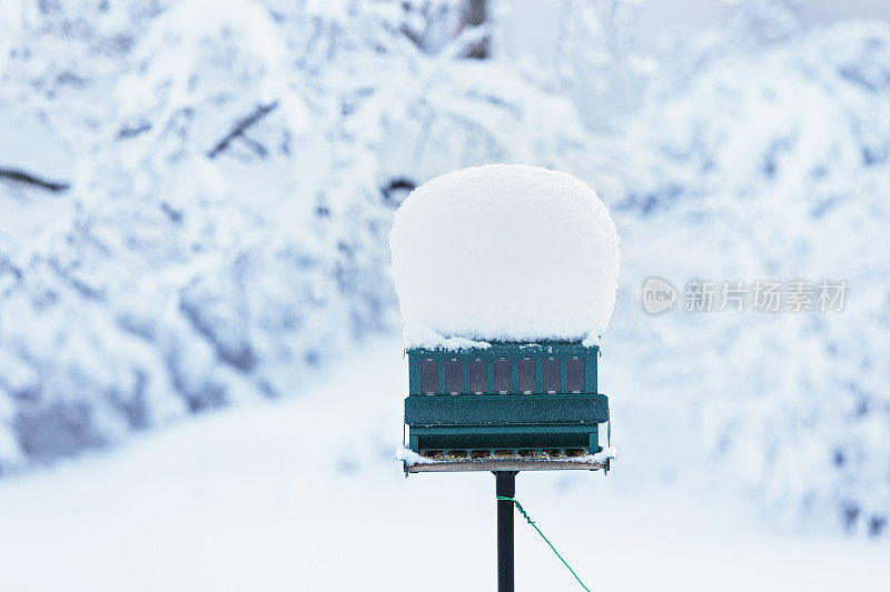 暴雪喂鸟器