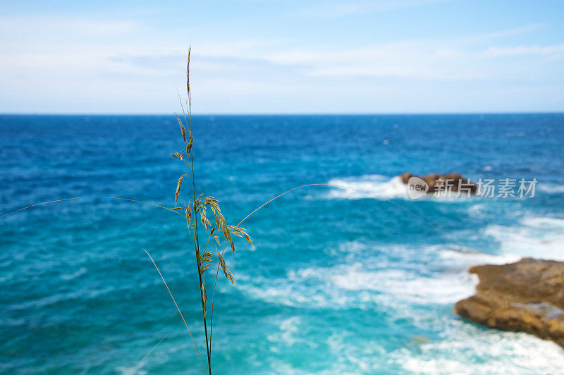 在马略卡岛的海滩上