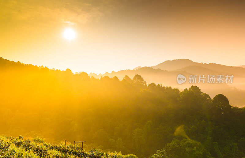 美丽的阳光在薄雾清晨的山脉。