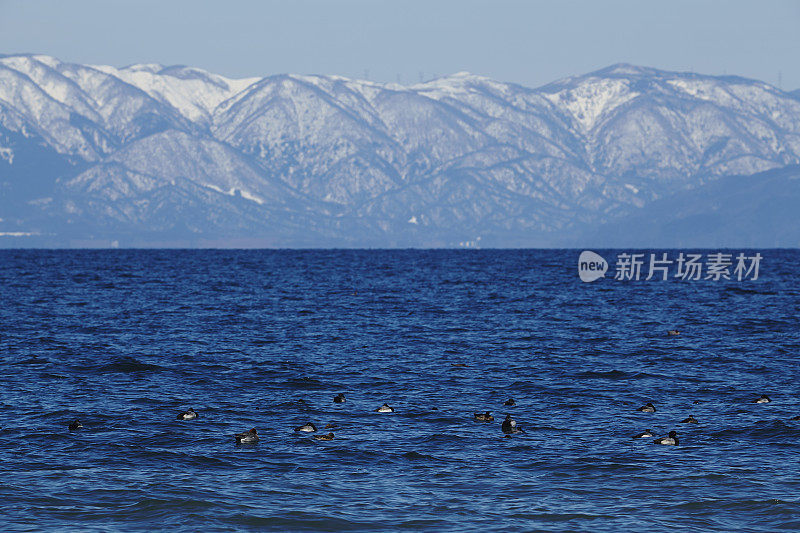 琵琶湖的冬天