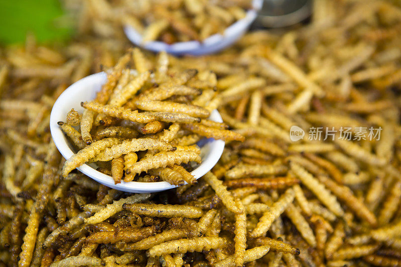 食用昆虫食物泰国菜泰国