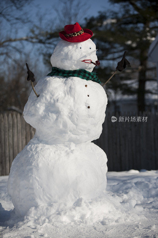 雪人