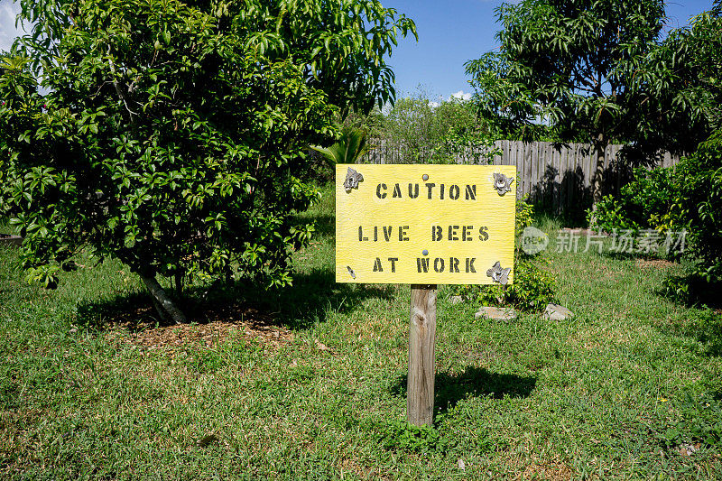 小心工作的活蜜蜂