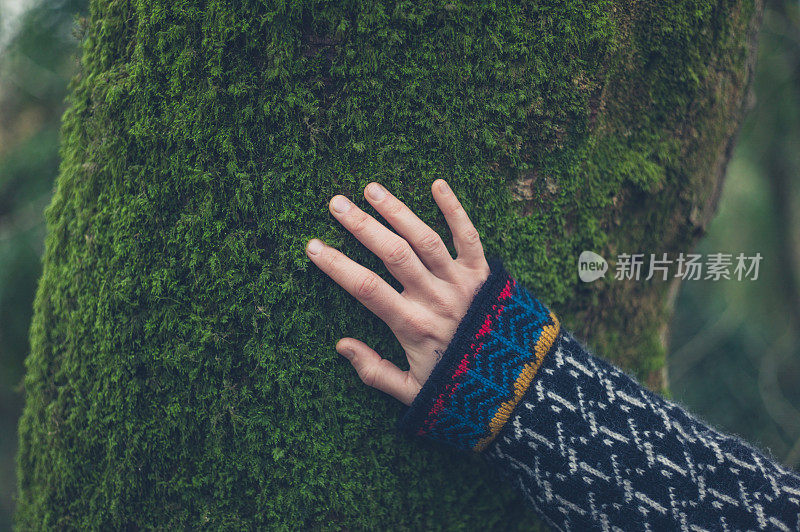 女人的手在长满苔藓的树上