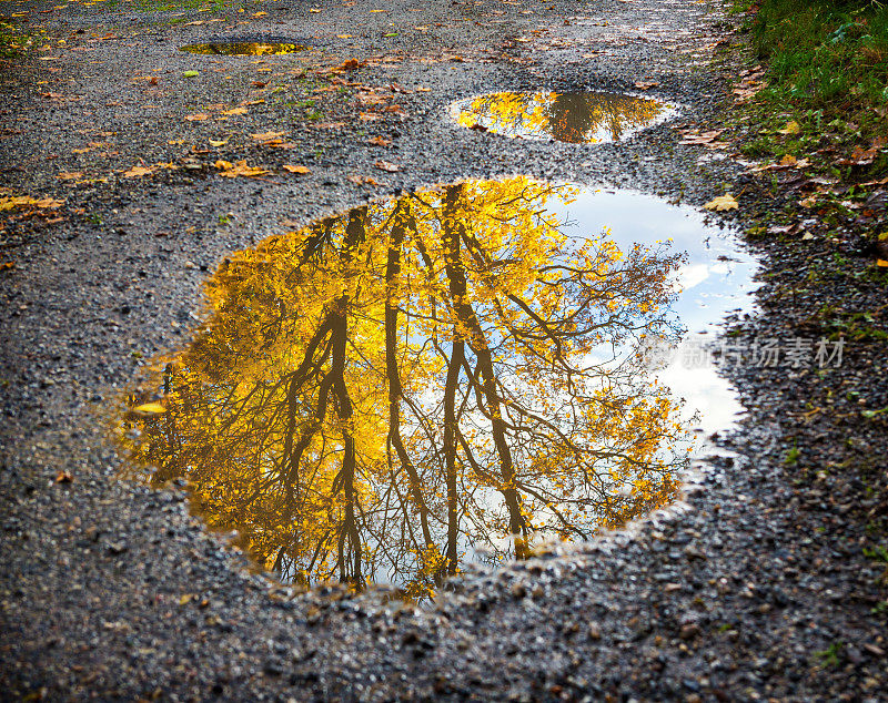 10月，挪威奥斯陆，秋树倒映在水坑里