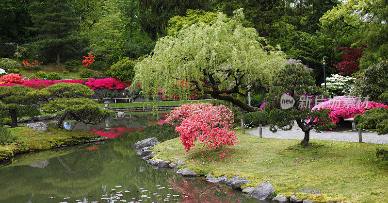 五彩缤纷的花园场景