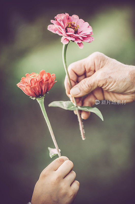 手用鲜花