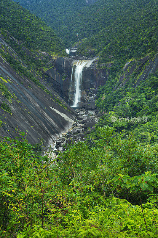 日本屋久岛的森皮罗瀑布