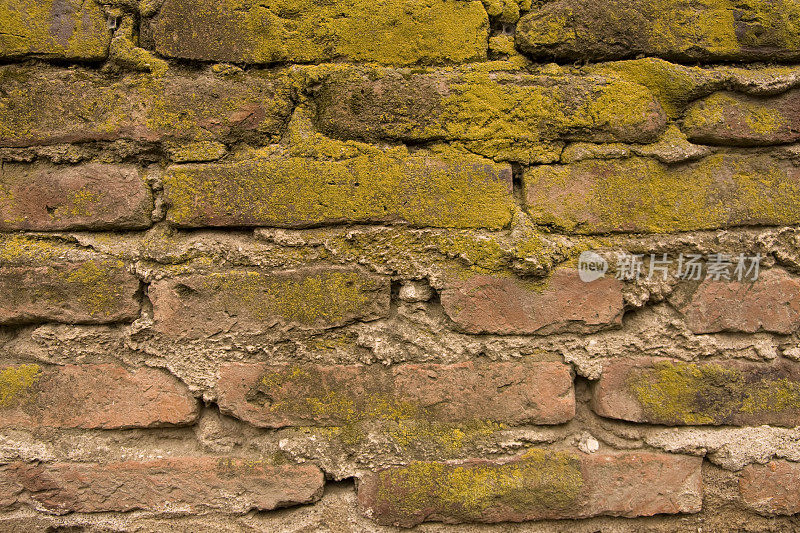 纹理-苔藓干砖墙