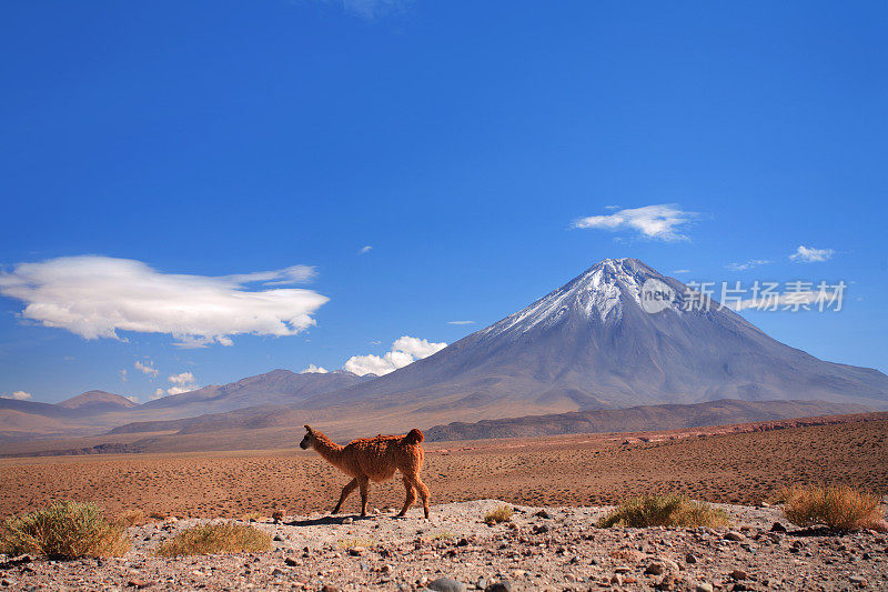 瓜纳科附近的利坎卡武尔火山-智利，阿塔卡马