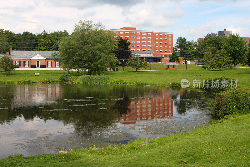 康涅狄格大学